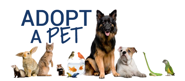 adopt a pet