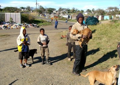 10am on Monday 25th June and the residents of Orange Grove started arriving with their dogs.