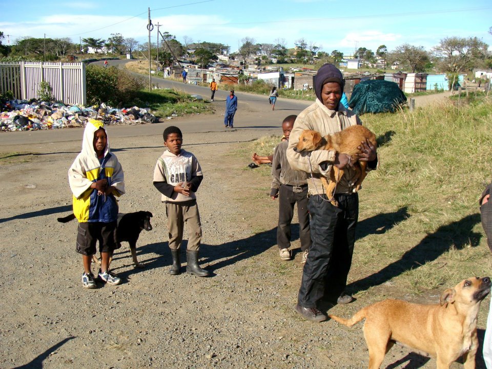 10am on Monday 25th June and the residents of Orange Grove started arriving with their dogs.